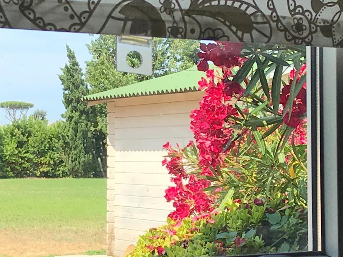 Podere Venanzio Lido di Camaiore Luaran gambar